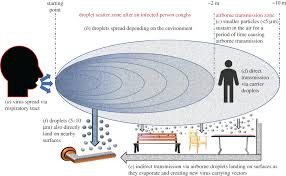 Find the latest treatment options for hiv. Surface Interactions And Viability Of Coronaviruses Journal Of The Royal Society Interface