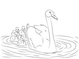 Mute Swan With Cygnets Coloring Page Love Coloring Pages Coloring Pages Animal Coloring Pages