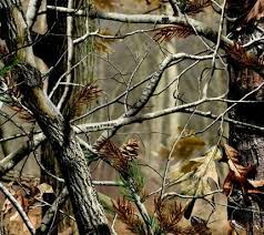 Realtree Wallpaper Realtree Wallpaper Camouflage Wallpaper Realtree Camo Wallpaper