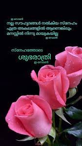 Pin By Eron On Good Night Malayalam Good Night Flowers Beautiful Good Night Images Good Night Messages