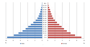 Expansive population pyramids depict populations that have a larger percentage of people in younger age. Papp101 S03 How Demographers Think About Populations Age And Sex