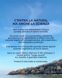 Vivere sul lago fa bene davvero? La scienza ha detto la sua. ☀️ Non è solo  una questione di paesaggio o di tramonti da cartolina. Stare vicino  all'acqua cambia il nostro corpo,