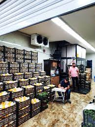 Soguk hava deposu imalati 0541 733 6705. Polarco Soguk Hava Deposu Soguk Hava Depolari Soguk Hava Deposu Fiyatlari Soguk Hava Deposu Yapimi Soguk Hava Deposu Projesi Merkezi Sogutma Sistemleri Sogutma Sistemleri Soguk Urun Muhafaza Depolari Donmus Urun Soguk Hava Deposu Su