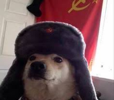 Putin vladimir wikipedia says should replaced version rus replace banned russian russia meeting anime memes lloyds foreign issues. 80 Putin And Animals Ideas Putin Vladimir Putin Animals