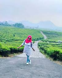 We went their while on our way to ravangla from gangtok. The Natural Beauty Of The Ciater Tea Garden Steemit