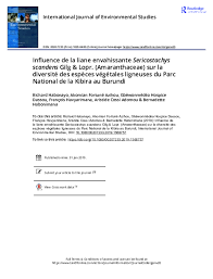 Image result for Sericostachys scandens