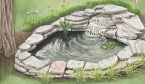 We did not find results for: 12 Steps To Building A Small Pond For Your Backyard Myfarmlife Com