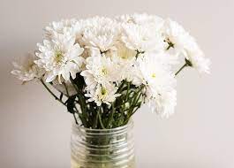 Check spelling or type a new query. 5 Long Lasting Flowers You Can Buy At The Grocery Store
