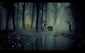The Forbidden Forest Dark Wallpaper Forest Wallpaper Landscape Wallpaper