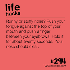 Pour a cup of water and add mint leaves and let them simmer with blueberries (another great antioxidant). No More Runny Nose 1000 Life Hacks 1000 Life Hacks Useful Life Hacks Life Hacks For School