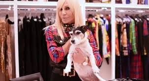 Ha 49 anni ma il suo fascino sembra rimasto impassibile allo scorrere del tempo. Donatella Versace Apre Il Suo Guardaroba Su Instagram C E Anche Un Armadio Per La Cagnolina