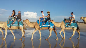 Each room features a satellite tv, tea/coffee making facilities and a safety deposit box. Camel Ride Bali Fun Time