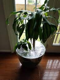 Made a cheap and effective potting soil for indoors plants. Pin On Indoor Gardening