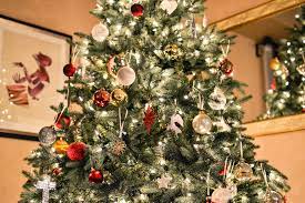 The Great Christmas Tree Debate Canopy Canopy