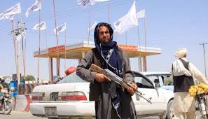 Who is taliban in hindi. Gai Ycdz2ktd0m