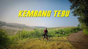 Maybe you would like to learn more about one of these? Kembang Tebu Sing Kabur Kanginan Road Bike Indonesia Youtube