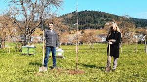 The heafey baum group is led by realtors matt heafey and teresa baum of compass real estate. Inner Wheel Frauen Spenden Baum An Bezirksimkerverein Haslach Baden Online Nachrichten Der Ortenau Offenburger Tageblatt