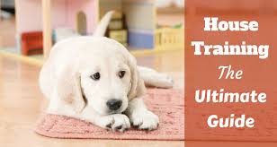 house training a puppy the complete guide totally goldens