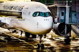 Singapore airlines has everything worked out for you before you land. Hong Kong Bans Singapore Airlines After Covid Case On Board