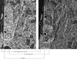 Speckle Noise Reduction in SAR Imagery Using a Local Adaptive Median Filter