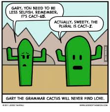 Latin Plurals Nouns Ending In Us The Oikofuge