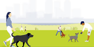 The best pet supply store near tampa. Doggy Daycare Boarding Affordable Convenient Paws N Rec