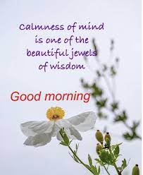 Check spelling or type a new query. Pin By Francesca Goh On Good Morning In 2021 Good Morning Wishes Quotes Good Morning Quotes Good Morning Greeting Cards