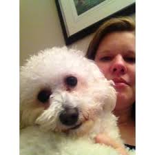 Amazon.co.jp: Rex Ray Postcard Book : Ray, Rex: Foreign Language Books