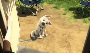 Guide For Dog Lovers Oh My Disney Bolt Disney Disney Animated Movies Disney Dogs