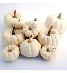 Es ist kein geheimnis, dass der garten im sommer schöner erscheint, als im winter. Diese Deko Trends Sorgen Schon Vor Der Haustur Fur Herbst Feeling