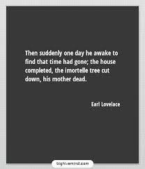 70 Crazy How Fast Time Flies Quotes And Sayings Big Hive Mind