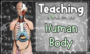 Check spelling or type a new query. Samson S Shoppe Teaching A Unit On The Human Body Systems