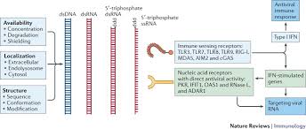 effective from 15th december, 2016. Discriminating Self From Non Self In Nucleic Acid Sensing Nature Reviews Immunology