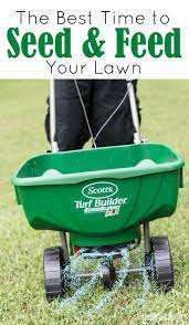 The Best Time To Seed Feed A Lawn Best Grass Seed Fall Lawn Best Grass