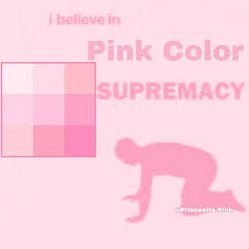 Pink Is Superior And Idc What Anyone Says Mood Pics Haha Funny Fb Memes