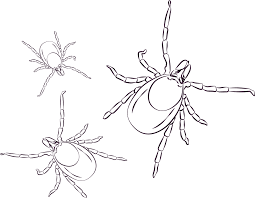 Lyme Disease 2019 September 20 21 Congress Centre Prague