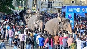 Second batch of five Dasara elephants to arrive at Mysuru Palace on Monday