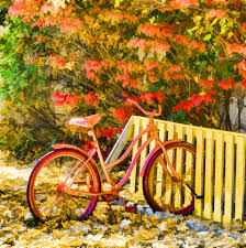 Red Bike In Fall Love Those Colors Of Autumn Look At Those Leaves One Of Over 14 0000 Free Images For Private Or Commerci Red Bike Fall Images View Image