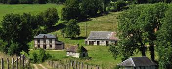 Caf Du Calvados Contact Mes Allocs Fr