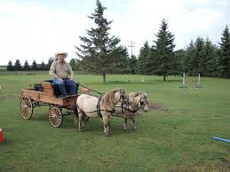 Check spelling or type a new query. Sturgeon County Asb Tour Delights Morinville News Morinville Online