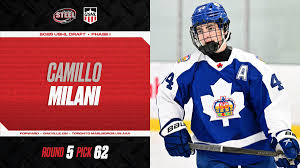 Image result for Melhania randii