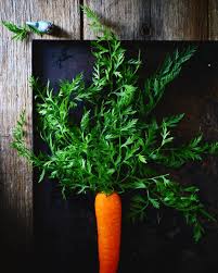 Maybe you would like to learn more about one of these? Sue The Cocky Roo On Instagram Carrot Leaves In One Of My Stories I Posted Having Harvested Carrot Leaves And Got Garden Orchard Carrots Instagram