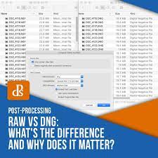 Raw Vs Dng What S The Difference And Why Does It Matter Digital Photography School In 2020 Digital Photography School Learning Photography Digital Photography