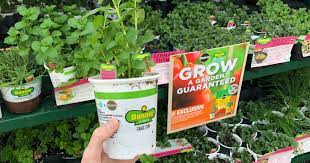 Not only home depot tomato plants, you could also find others such as plants at home depot, home depot vegetable plants, home depot outside plants, home depot garden plants find home depot tomato plants out of metroupdate.biz! Bonnie Vegetable Herb Plants Just 1 89 At Home Depot In Store Only Hip2save