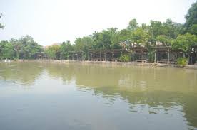 Kolam Pemancingan Foto Godong Ijo Depok Tripadvisor