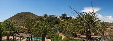 Desde la almendra y el gitano, siempre pensando en nuestros huéspedes, hemos realizado una selección de las mejores playas de la zona para que, además de disfrutar de la de agua amarga, podáis conocer los rincones más ¿tiene la almendra y el gitano una página en facebook? Home La Almendra Y El Gitano