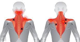 Pin On Excercises