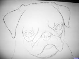 Make it so the paw is the correct size and shape for that breed or size of dog. Drawing Realistic Dog Animal Face Drawing