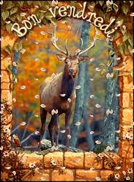 R�sultat de recherche d'images pour "gif bon vendredi"