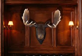 $3500.0 moose head large wall mount. Moose Head Wall Mount Afd Home